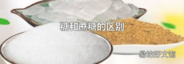 糖和蔗糖的区别