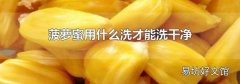 菠萝蜜用什么洗才能洗干净