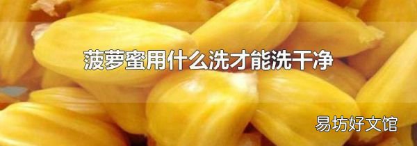 菠蘿蜜用什么洗才能洗干凈
