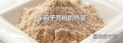 车前子壳粉的热量