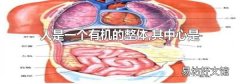 人是一个有机的整体,其中心是