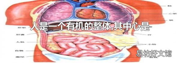 人是一个有机的整体,其中心是