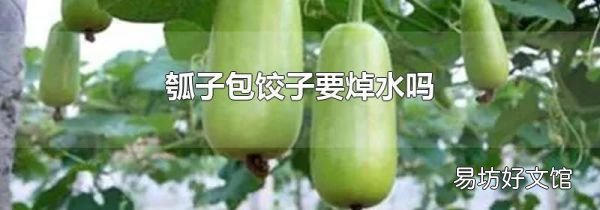 瓠子包餃子要焯水嗎