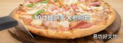 10寸披萨多大参照物