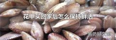 花甲买回家后怎么保持鲜活