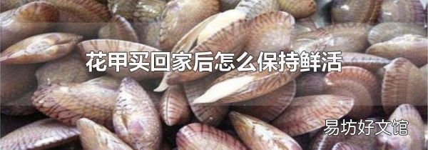花甲买回家后怎么保持鲜活