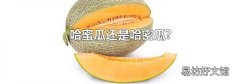 哈蜜瓜还是哈密瓜?