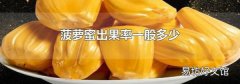 菠萝蜜出果率一般多少