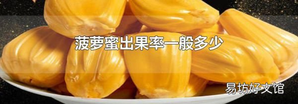 菠萝蜜出果率一般多少
