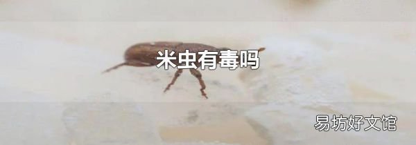 米虫有毒吗