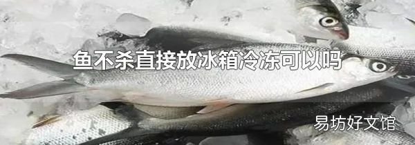 鱼不杀直接放冰箱冷冻可以吗