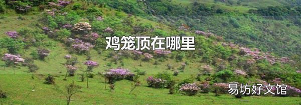 鸡笼顶在哪里