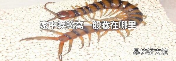 家中蜈蚣窩一般藏在哪里