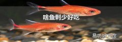 啥鱼刺少好吃