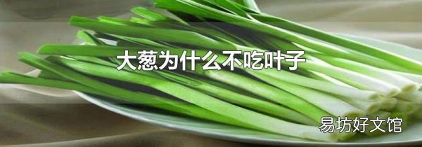 大蔥為什么不吃葉子