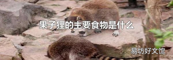 果子狸的主要食物是什么
