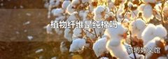 植物纤维是纯棉吗