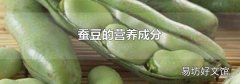 蚕豆的营养成分