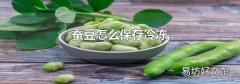 蚕豆怎么保存冷冻