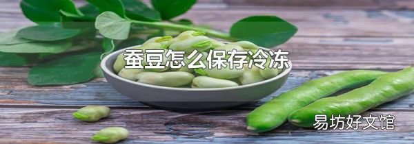 蠶豆怎么保存冷凍
