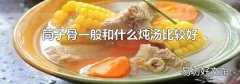 筒子骨一般和什么炖汤比较好