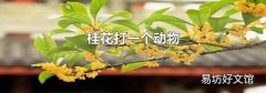 桂花打一个动物