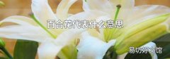 百合花代表什么意思