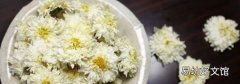 滁菊的功效与作用