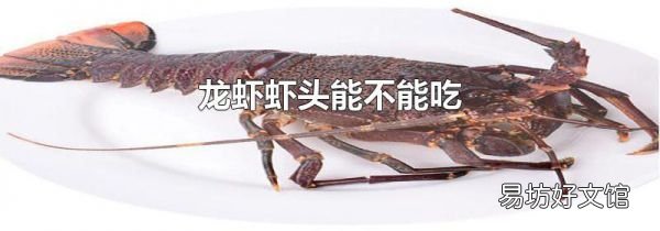 龍蝦蝦頭能不能吃