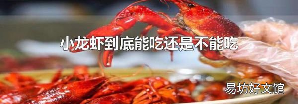 小龙虾到底能吃还是不能吃