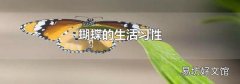 蝴蝶的生活习性