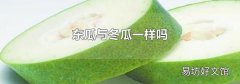 东瓜与冬瓜一样吗