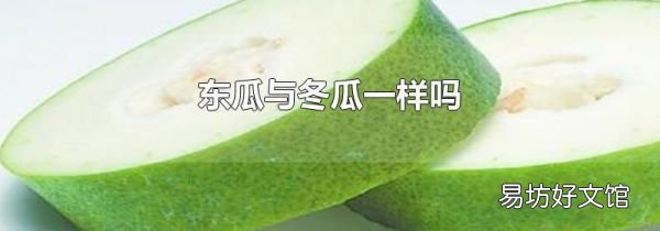 東瓜與冬瓜一樣嗎