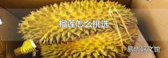 榴莲怎么挑选