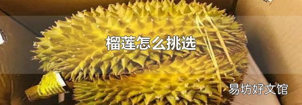 榴蓮怎么挑選