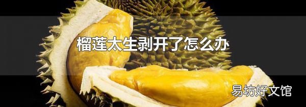 榴莲太生剥开了怎么办