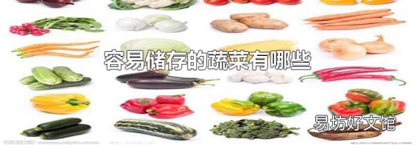 容易储存的蔬菜有哪些