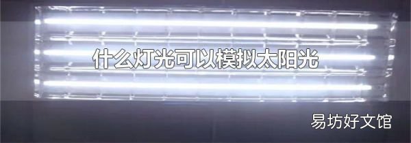 什么燈光可以模擬太陽光