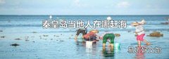 秦皇岛当地人在哪赶海