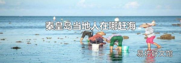秦皇岛当地人在哪赶海