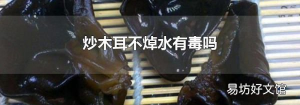 炒木耳不焯水有毒吗