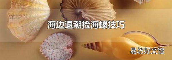 海邊退潮撿海螺技巧