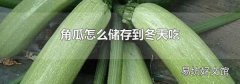 角瓜怎么储存到冬天吃