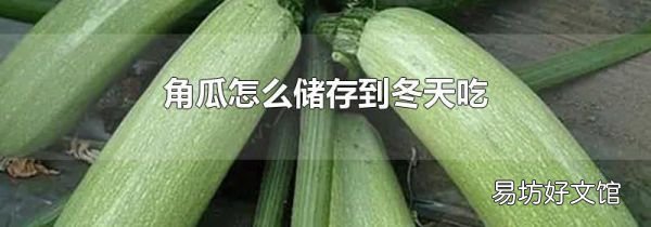角瓜怎么储存到冬天吃