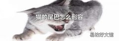 猫的尾巴怎么形容