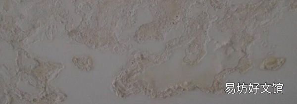 墙壁潮湿可以贴墙纸吗