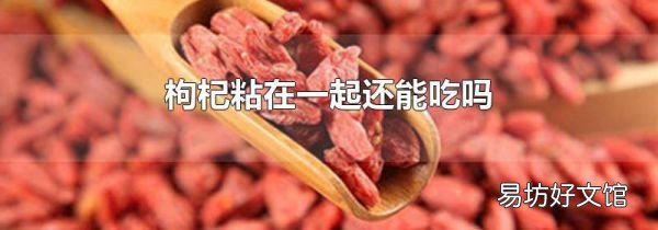 枸杞粘在一起還能吃嗎