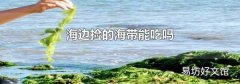 海边捡的海带能吃吗