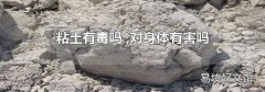 粘土有毒吗 ,对身体有害吗