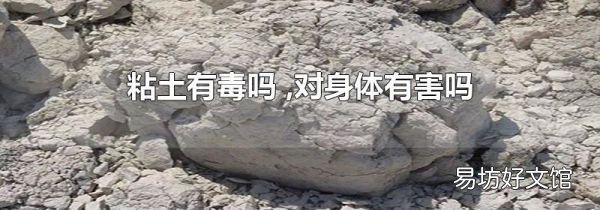 粘土有毒吗 ,对身体有害吗